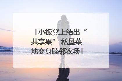 小板凳上结出“共享果” 私垦菜地变身睦邻农场