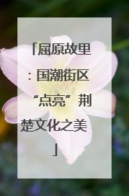 屈原故里：国潮街区“点亮”荆楚文化之美