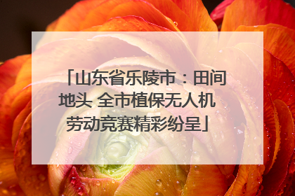 山东省乐陵市：田间地头 全市植保无人机劳动竞赛精彩纷呈