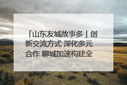 山东友城故事多｜创新交流方式 深化多元合作 聊城加速构建全球友城新格局