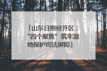 山东日照经开区：“四个聚焦”筑牢湿地保护司法屏障