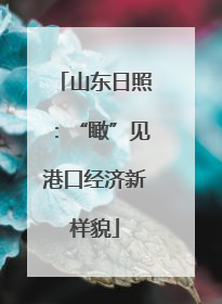 山东日照：“瞰”见港口经济新样貌