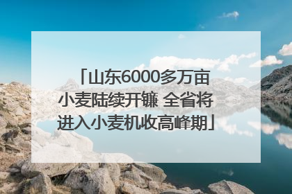 山东6000多万亩小麦陆续开镰 全省将进入小麦机收高峰期