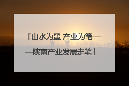 山水为墨 产业为笔——陕南产业发展走笔