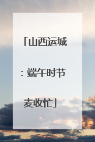 山西运城：端午时节麦收忙
