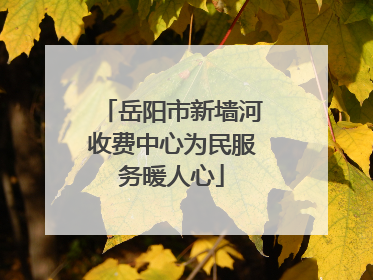 岳阳市新墙河收费中心为民服务暖人心