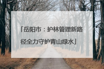 岳阳市：护林管理新路径全力守护青山绿水
