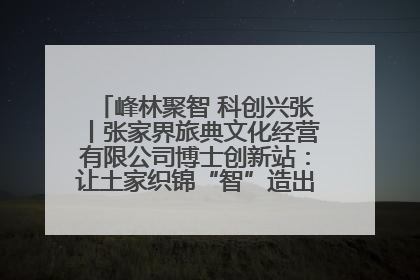 峰林聚智 科创兴张丨张家界旅典文化经营有限公司博士创新站：让土家织锦“智”造出非遗新传奇