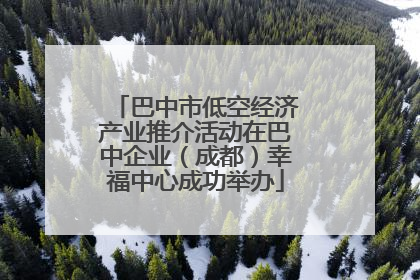巴中市低空经济产业推介活动在巴中企业（成都）幸福中心成功举办