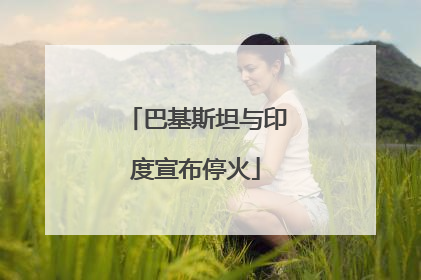 巴基斯坦与印度宣布停火