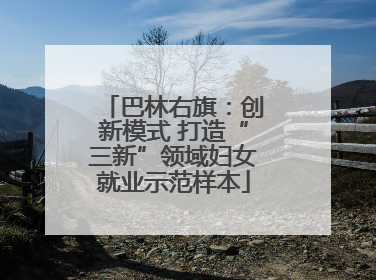 巴林右旗：创新模式 打造“三新”领域妇女就业示范样本
