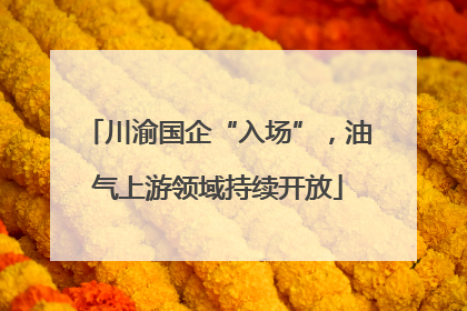 川渝国企“入场”，油气上游领域持续开放