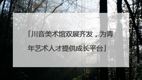 川音美术馆双展齐发，为青年艺术人才提供成长平台
