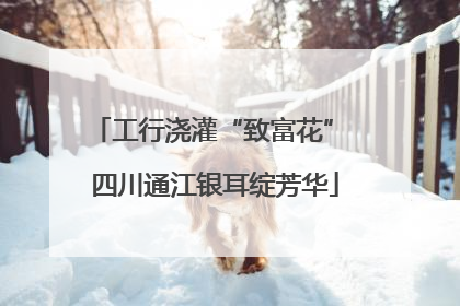 工行浇灌“致富花” 四川通江银耳绽芳华