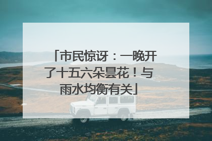 市民惊讶：一晚开了十五六朵昙花！与雨水均衡有关