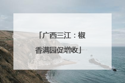 广西三江：椒香满园促增收