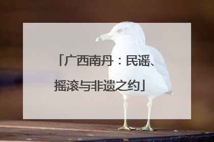 广西南丹：民谣、摇滚与非遗之约