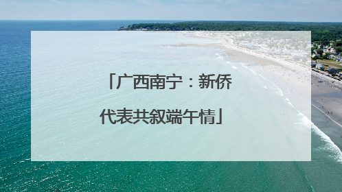 广西南宁：新侨代表共叙端午情