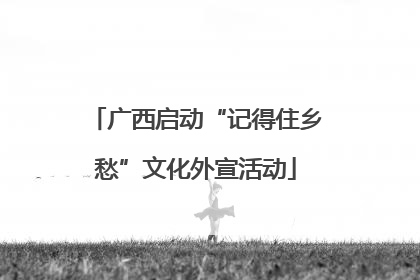 广西启动“记得住乡愁”文化外宣活动