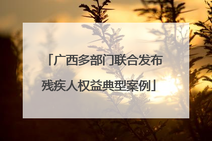 广西多部门联合发布残疾人权益典型案例