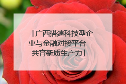 广西搭建科技型企业与金融对接平台 共育新质生产力