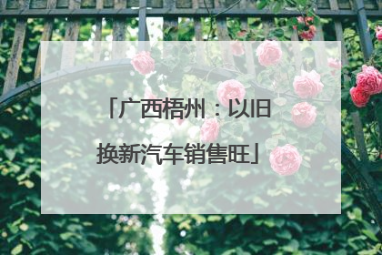 广西梧州：以旧换新汽车销售旺