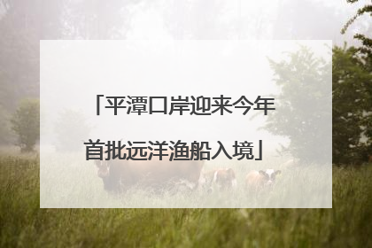 平潭口岸迎来今年首批远洋渔船入境