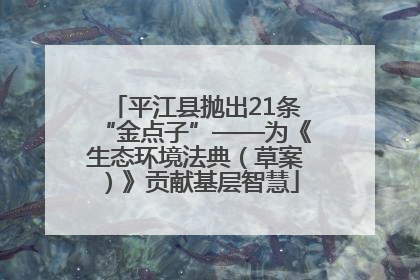 平江县抛出21条“金点子”——为《生态环境法典（草案）》贡献基层智慧