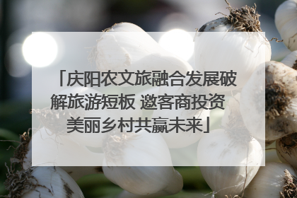 庆阳农文旅融合发展破解旅游短板 邀客商投资美丽乡村共赢未来
