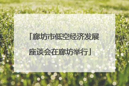 廊坊市低空经济发展座谈会在廊坊举行