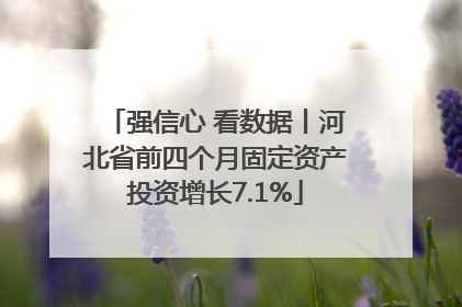强信心 看数据丨河北省前四个月固定资产投资增长7.1%