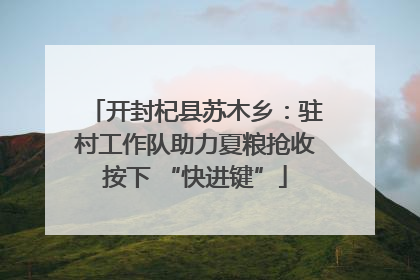 开封杞县苏木乡：驻村工作队助力夏粮抢收按下 “快进键”