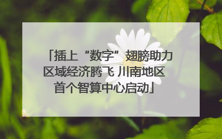 插上“数字”翅膀助力区域经济腾飞 川南地区首个智算中心启动