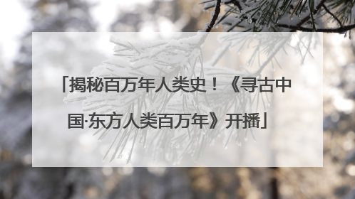 揭秘百万年人类史！《寻古中国·东方人类百万年》开播