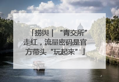 捞舆｜“青交所”走红，流量密码是官方带头“玩起来”