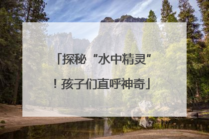 探秘“水中精灵”！孩子们直呼神奇
