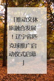 推动文体旅融合发展！辽宁省匹克球推广启动仪式启幕
