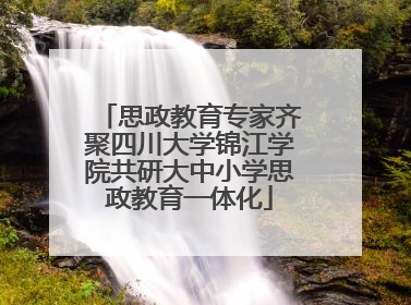 思政教育专家齐聚四川大学锦江学院共研大中小学思政教育一体化