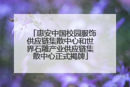 惠安中国校园服饰供应链集散中心和世界石雕产业供应链集散中心正式揭牌