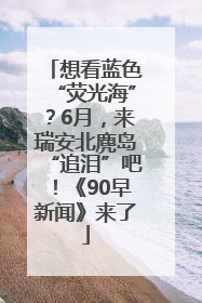 想看蓝色“荧光海”？6月，来瑞安北麂岛“追泪”吧！《90早新闻》来了