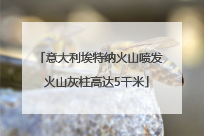 意大利埃特纳火山喷发 火山灰柱高达5千米