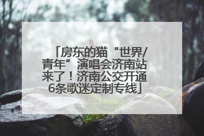 房东的猫“世界/青年”演唱会济南站来了！济南公交开通6条歌迷定制专线