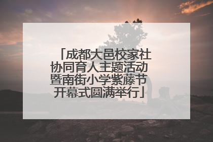 成都大邑校家社协同育人主题活动暨南街小学紫藤节开幕式圆满举行