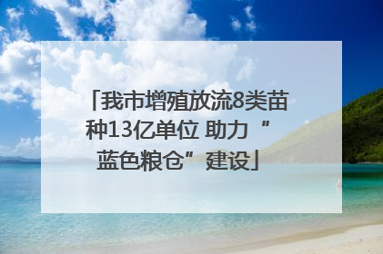 我市增殖放流8类苗种13亿单位 助力“蓝色粮仓”建设