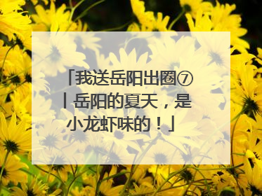 我送岳阳出圈⑦丨岳阳的夏天，是小龙虾味的！