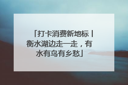 打卡消费新地标丨衡水湖边走一走，有水有鸟有乡愁