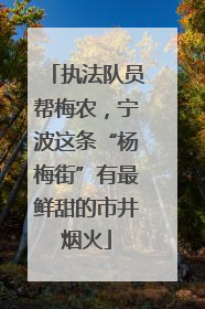 执法队员帮梅农，宁波这条“杨梅街”有最鲜甜的市井烟火