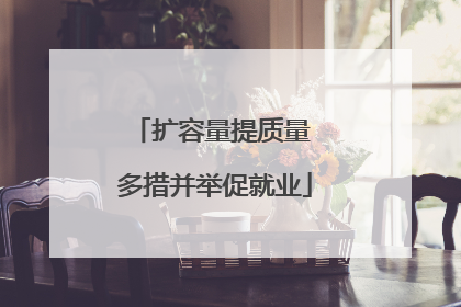 扩容量提质量 多措并举促就业
