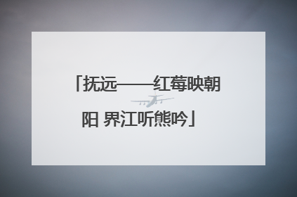 抚远——红莓映朝阳 界江听熊吟