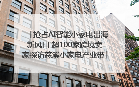抢占AI智能小家电出海新风口 超100家跨境卖家探访慈溪小家电产业带